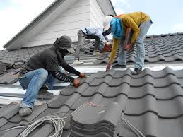 Best Roof Maintenance and Cleaning  in Long Lake, IL